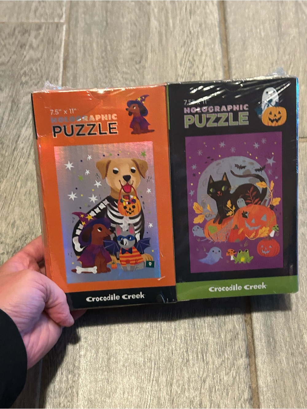 Halloween Dog & Cat Holographic Puzzle Set - Orange & Purple
